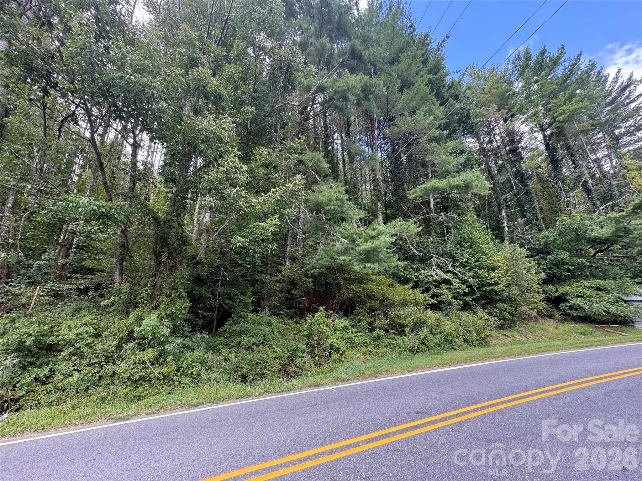 Acreage at 000 Puncheon Fork Road, Mars Hill, photo 10 of 19