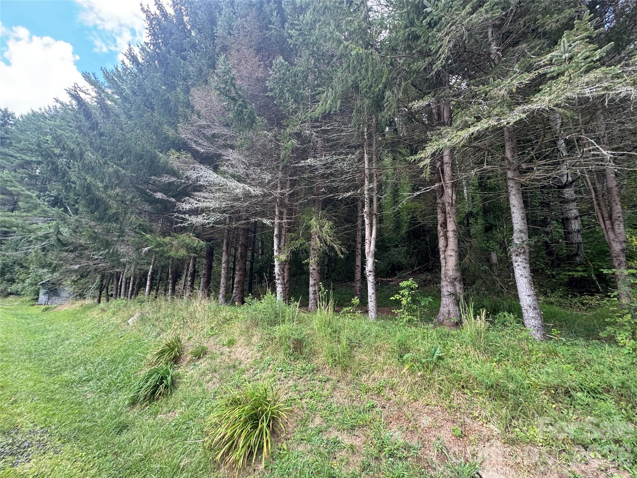 Acreage at 000 Puncheon Fork Road, Mars Hill, photo 11 of 19
