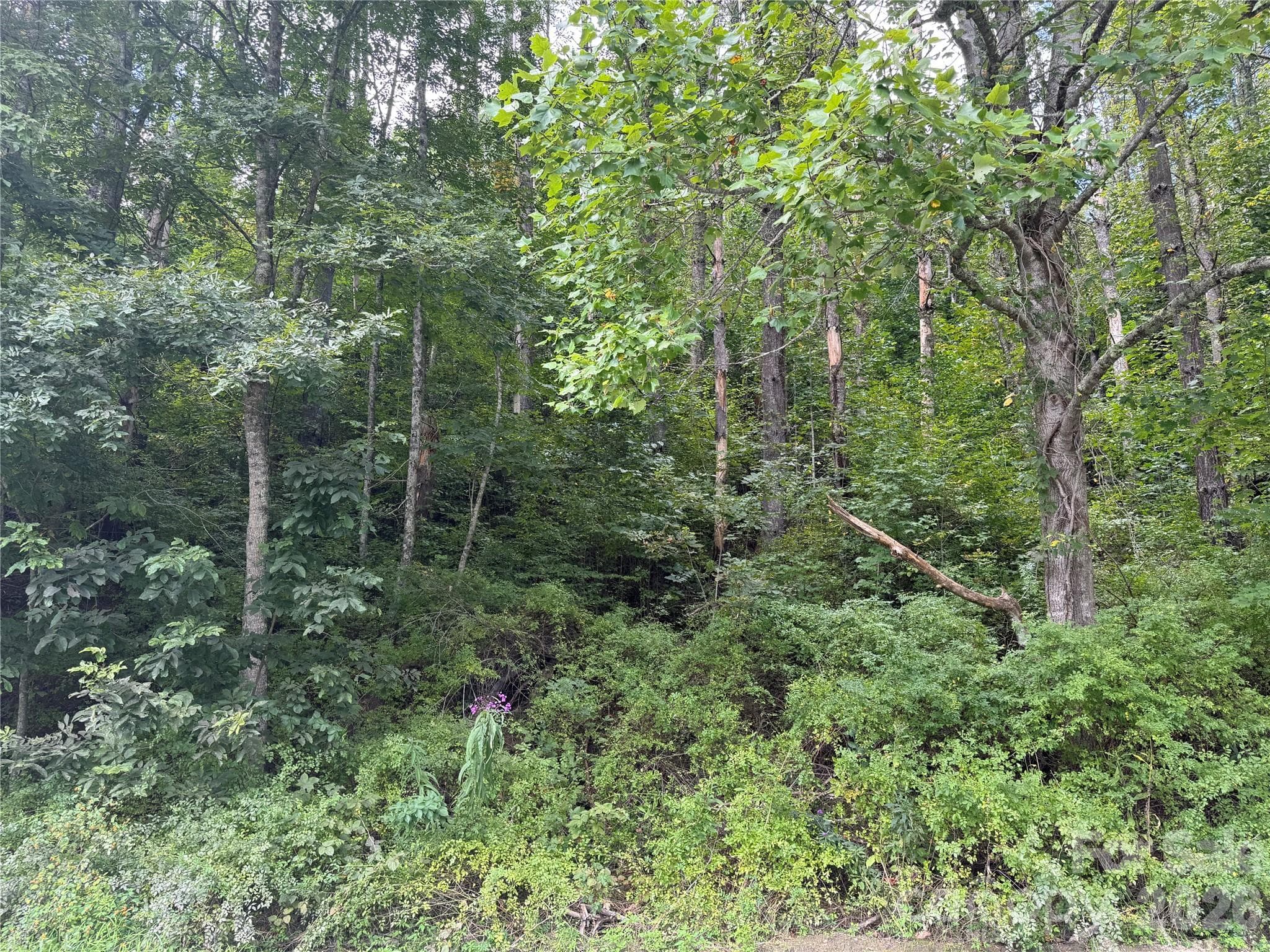 Acreage at 000 Puncheon Fork Road, Mars Hill, photo 14 of 19