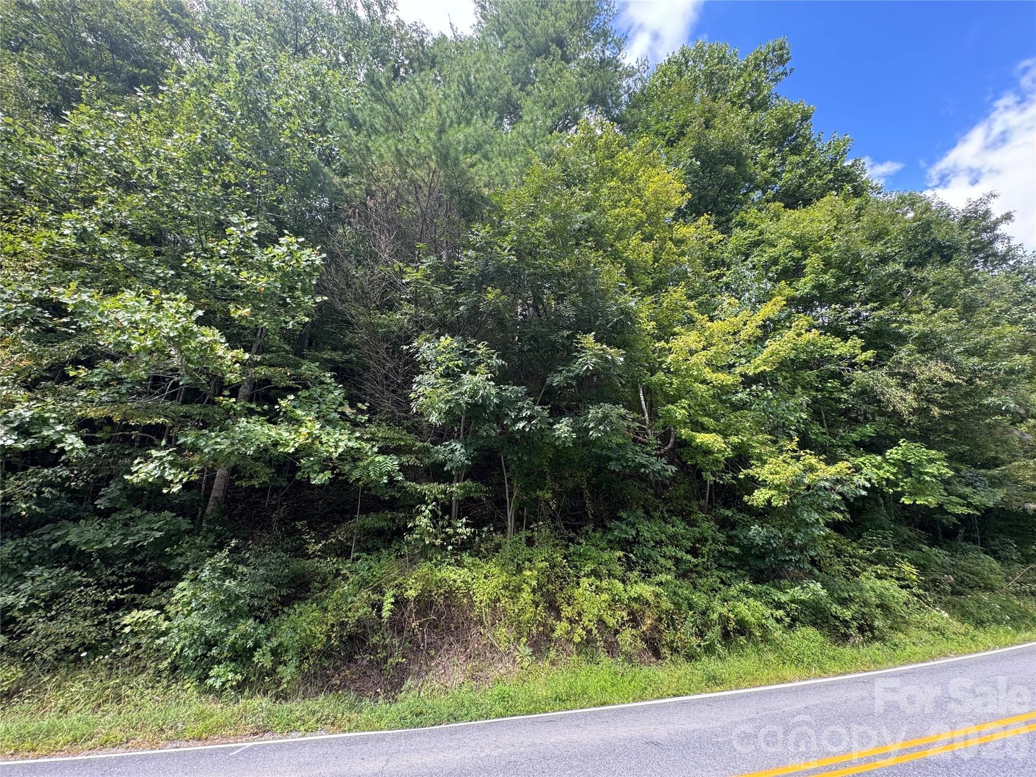 Acreage at 000 Puncheon Fork Road, Mars Hill, photo 16 of 19