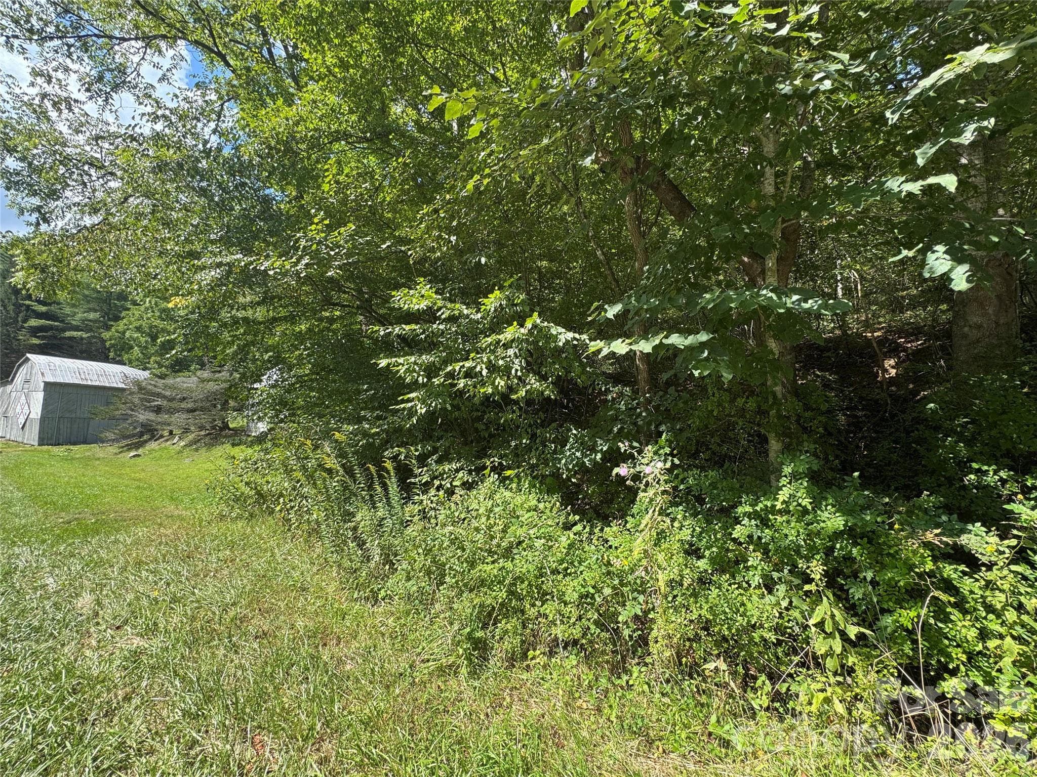 Acreage at 000 Puncheon Fork Road, Mars Hill, photo 18 of 19