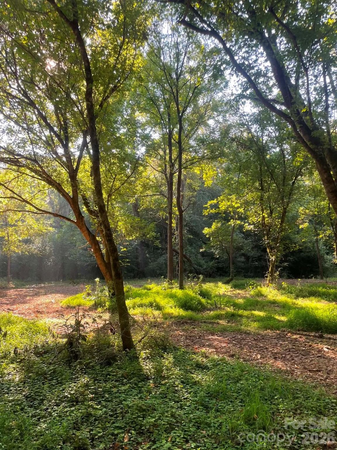Acreage at 155 Evening Star Drive, Statesville, photo 38 of 44