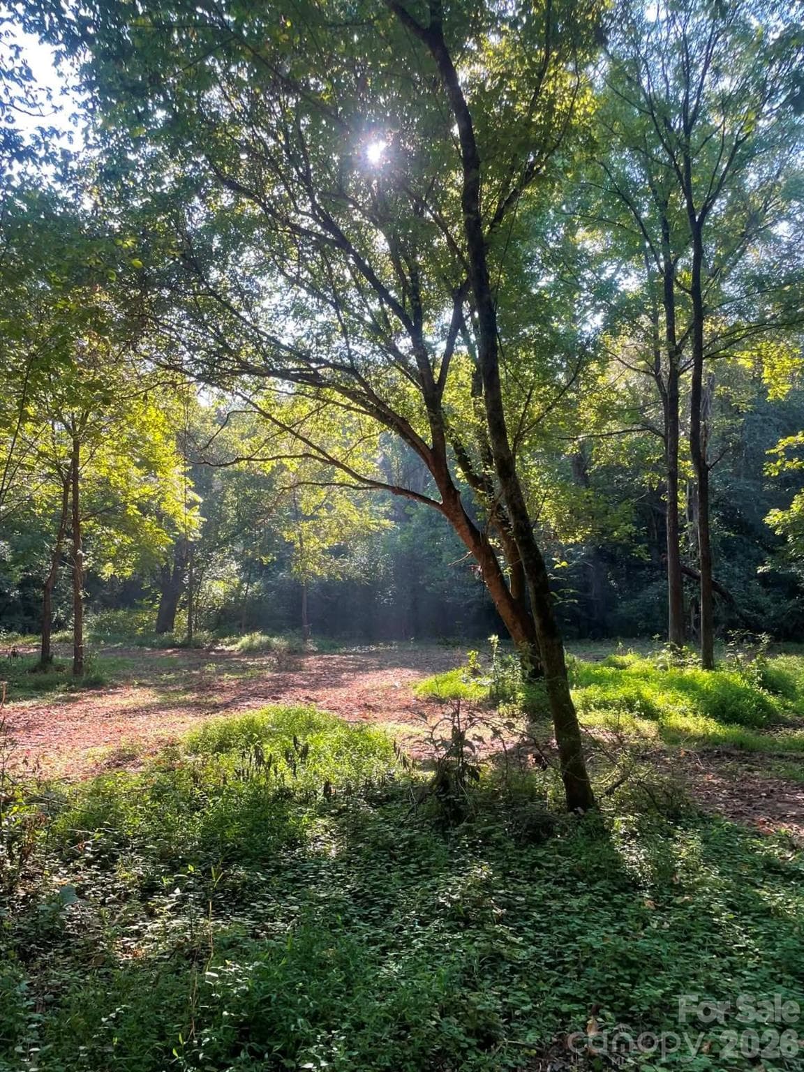 Acreage at 155 Evening Star Drive, Statesville, photo 42 of 44