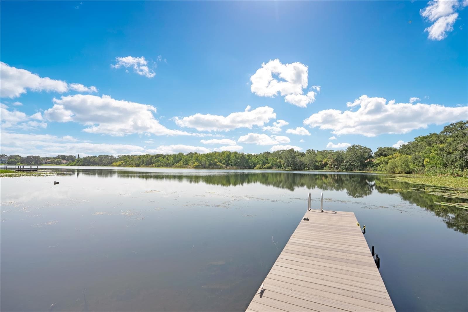 Community dock - 1927 S LAKEMONT AVE, WINTER PARK