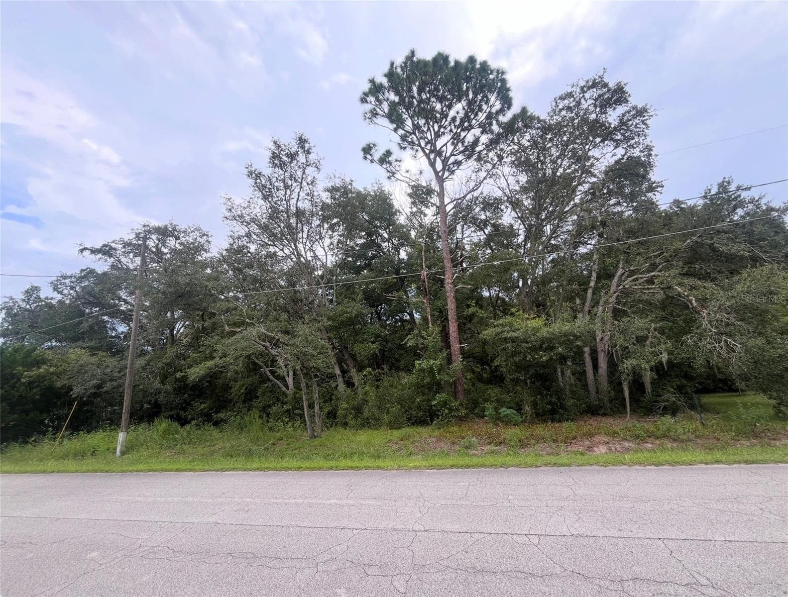 Land at TBD SE 94TH AVE, BELLEVIEW, photo 4 of 6
