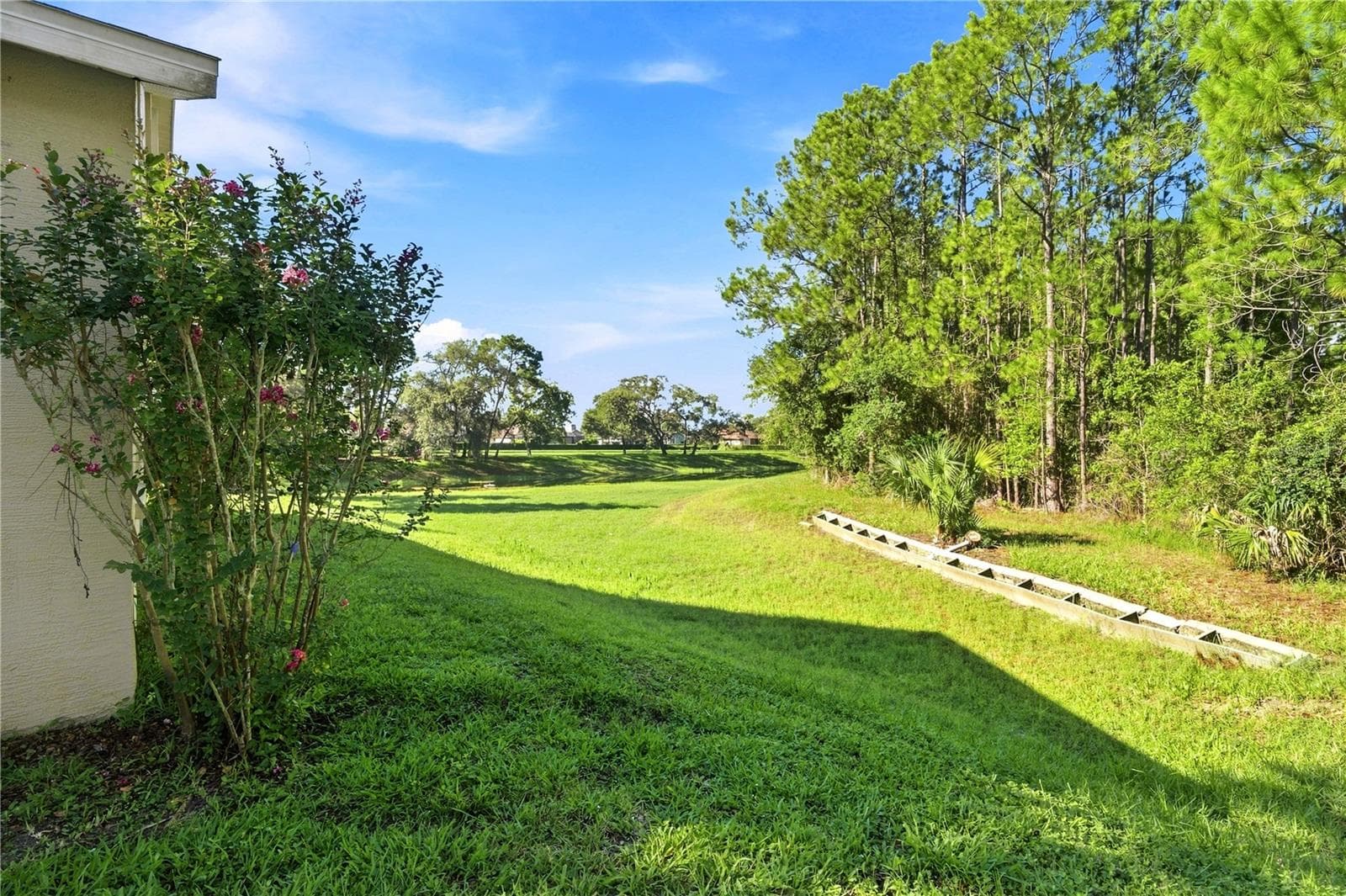 BACK - 10097 HOLLY BERRY DR, WEEKI WACHEE