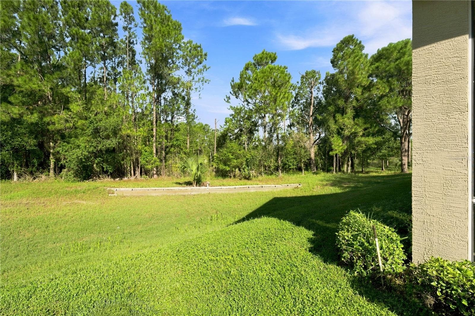 BACK/Side - 10097 HOLLY BERRY DR, WEEKI WACHEE