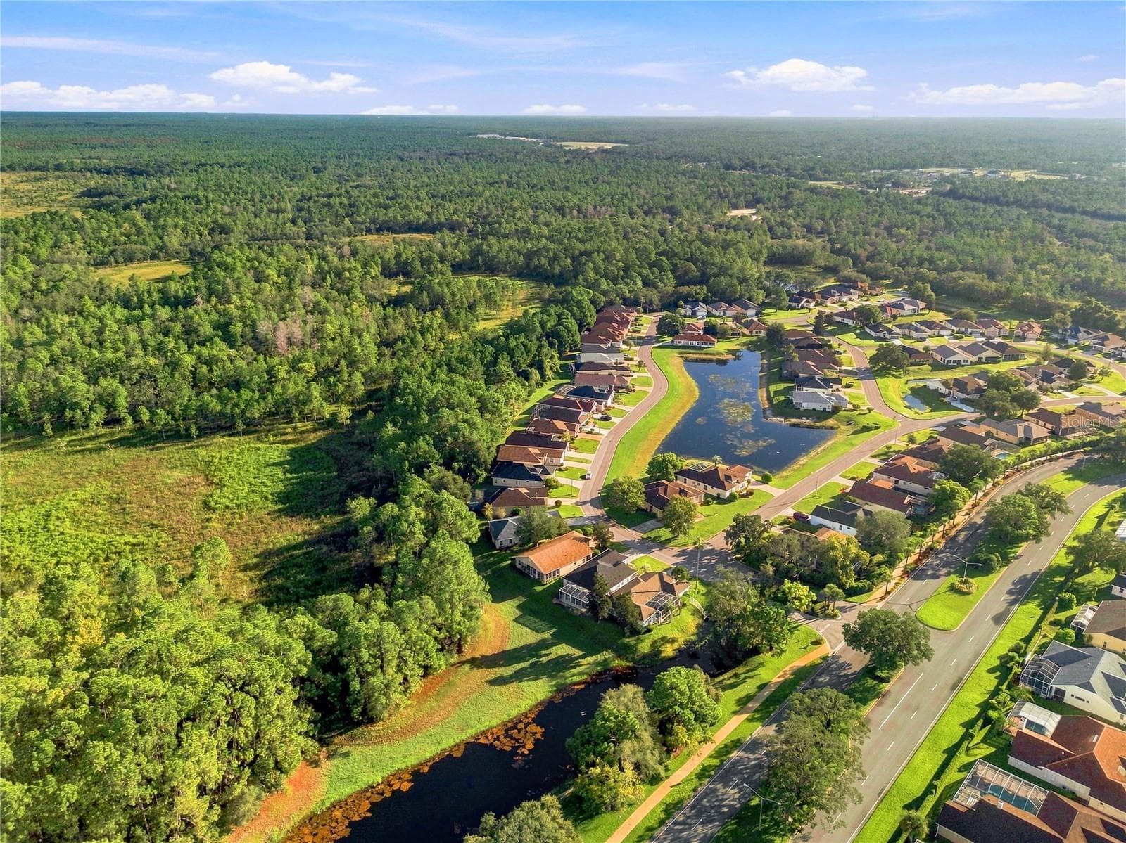 Single Family Residence at 10097 HOLLY BERRY DR, WEEKI WACHEE, photo 46 of 54