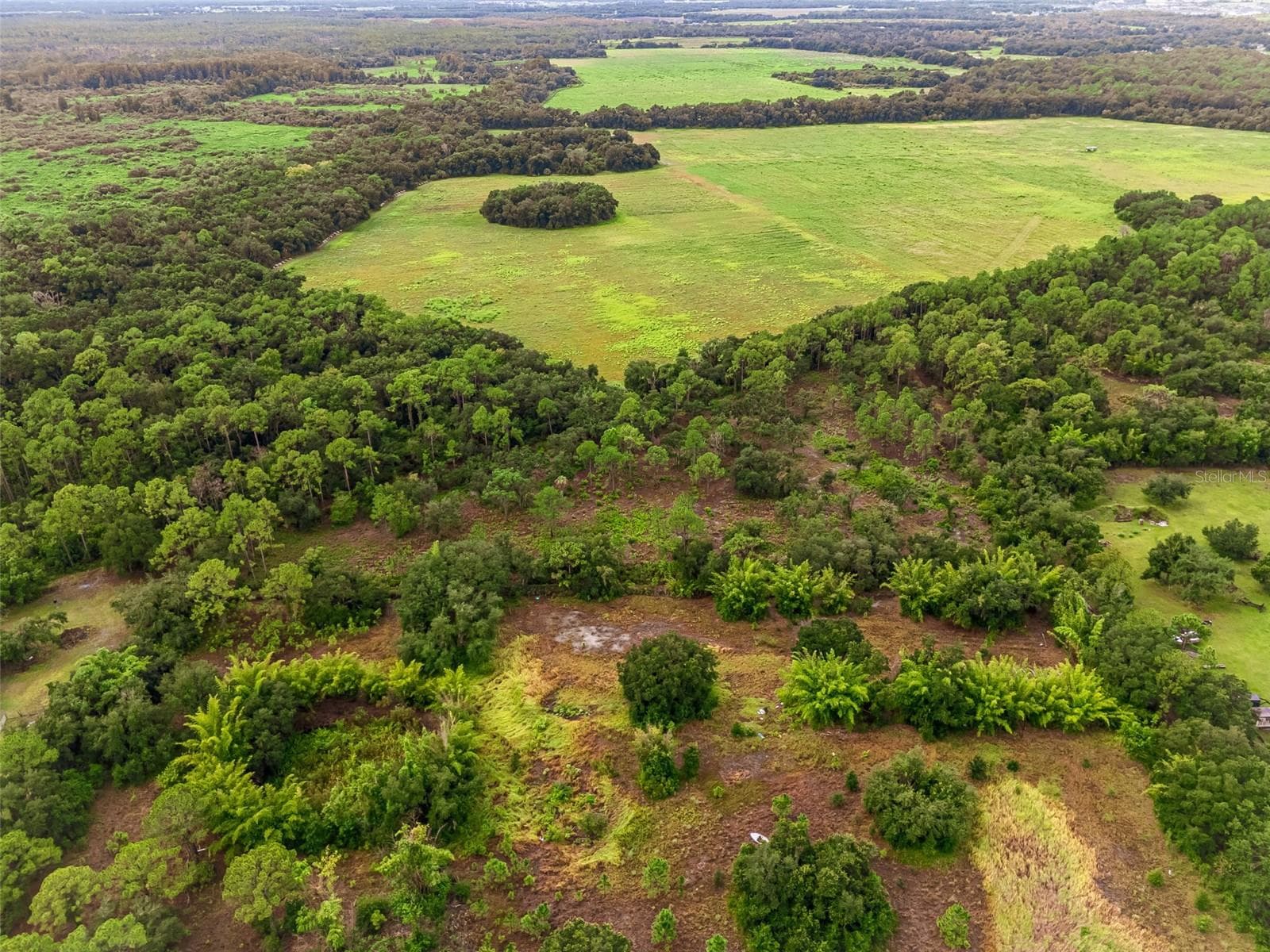 No Back yard neighbors - 14020 CYPRESS LN, WIMAUMA