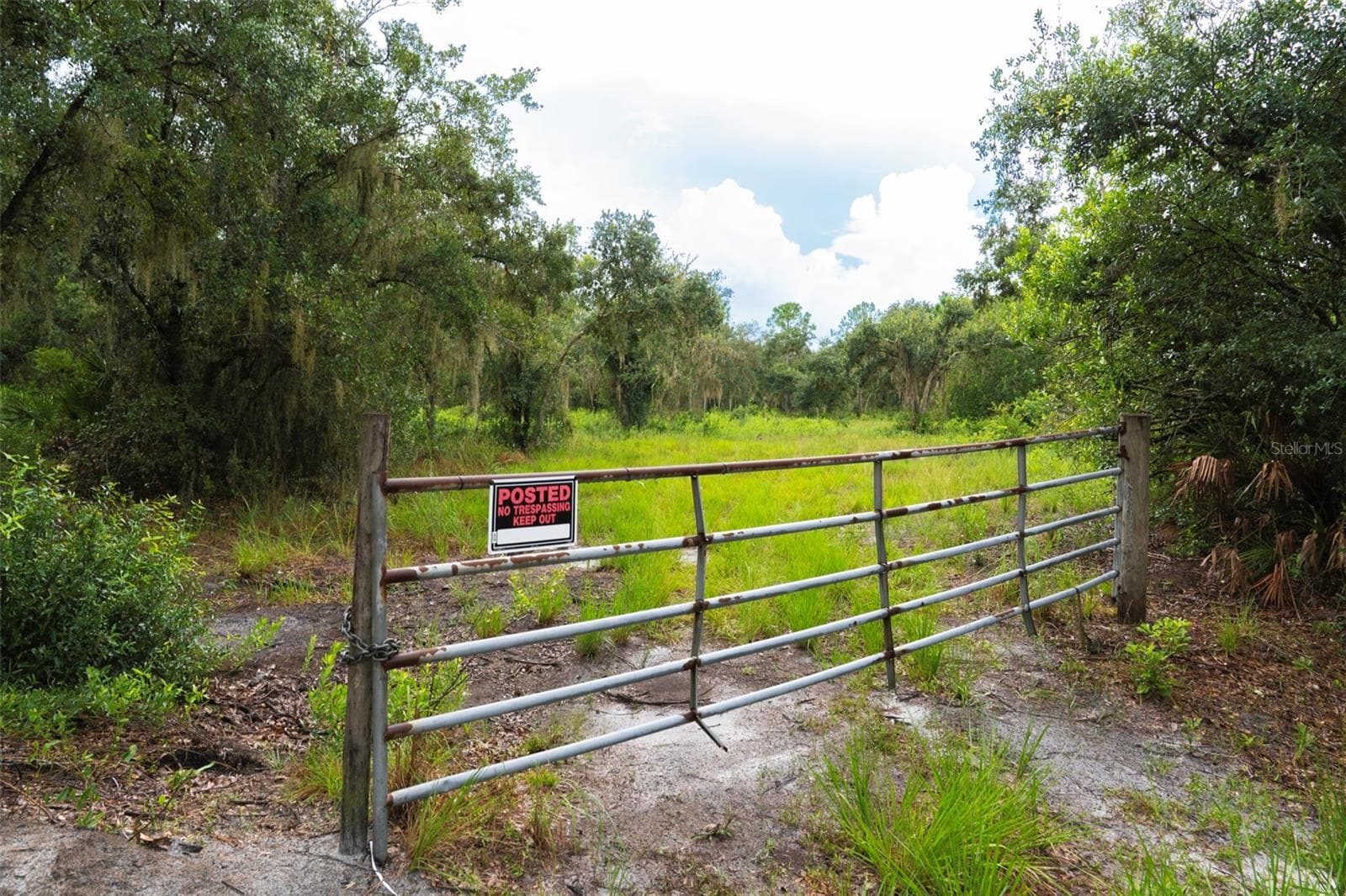 Front gate to the parcially cleared property - 14020 CYPRESS LN, WIMAUMA