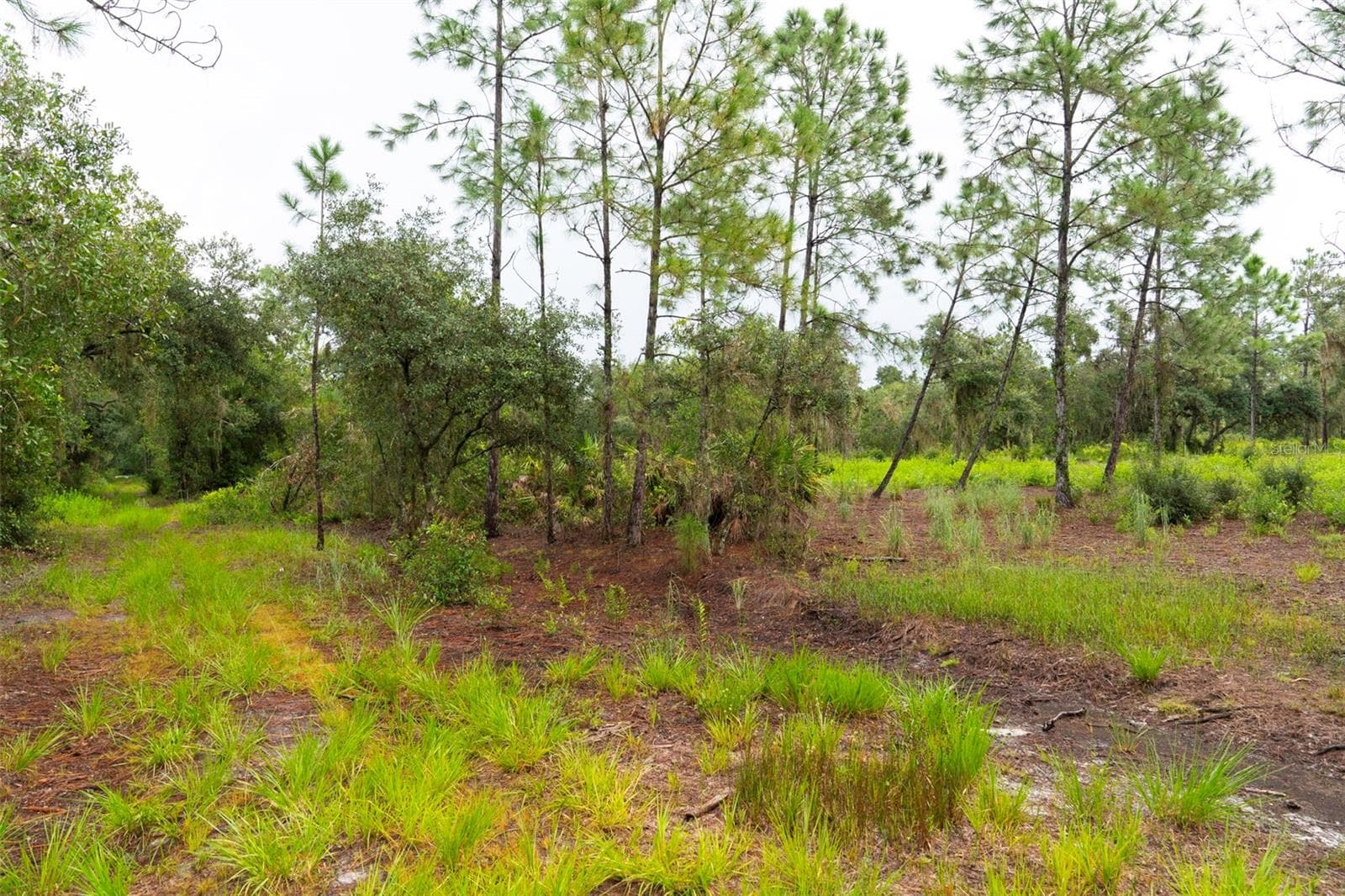 Love where you live right here - 14020 CYPRESS LN, WIMAUMA