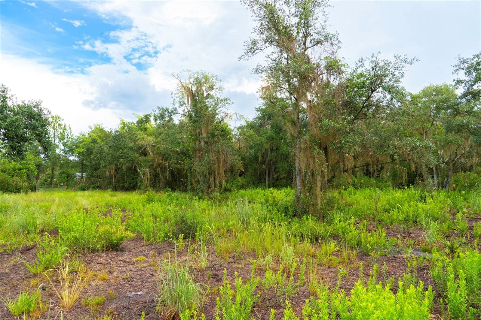 Build your dream home here - 14020 CYPRESS LN, WIMAUMA