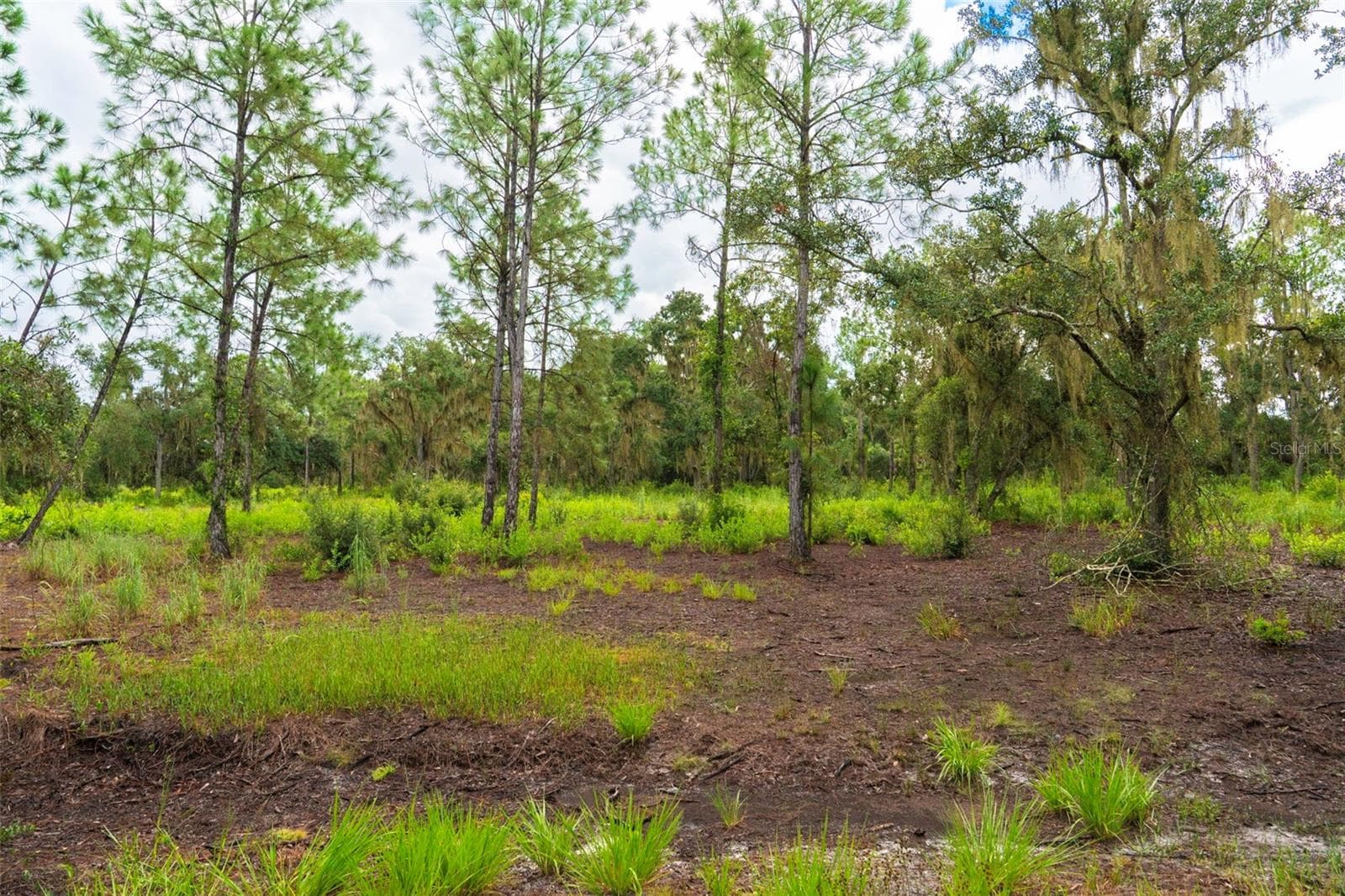 Also close to schools and shopping and hospitals - 14020 CYPRESS LN, WIMAUMA