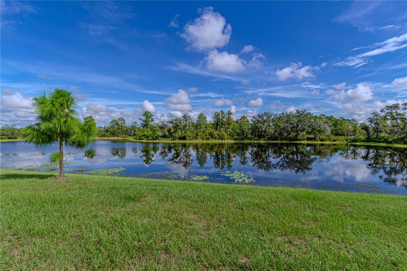 Single Family Residence at 17558 BLAZING STAR CIR, CLERMONT, photo 3 of 40