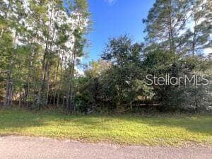 405 PANDORA DR