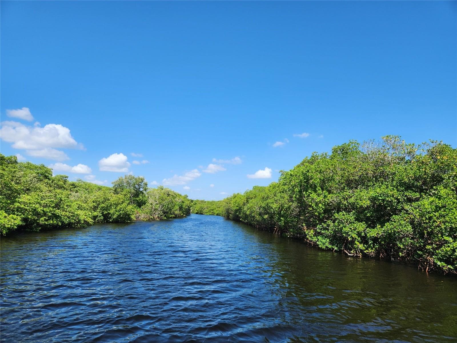 Land at 636 MOUNT PINEY AVE NE #702, ST PETERSBURG, photo 20 of 21