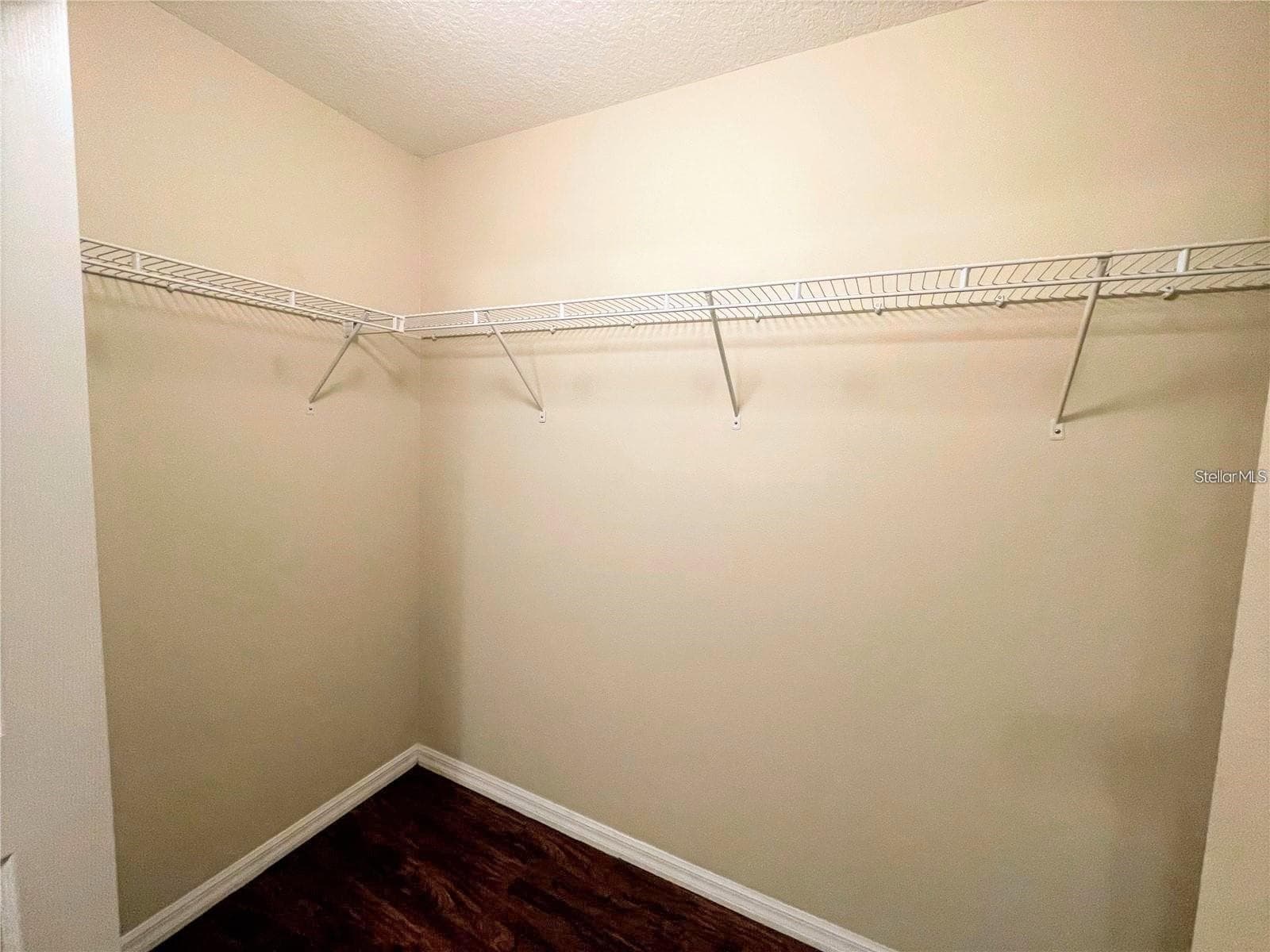 walk in closet - 8508 BRUSHLEAF WAY, TAMPA