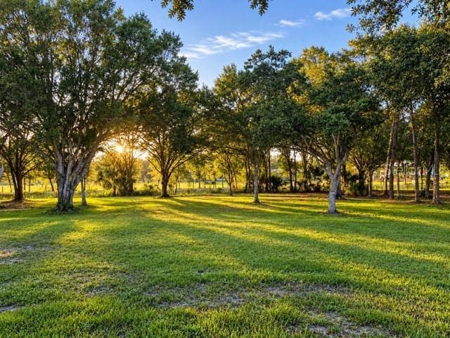 Single Family Residence at 1777 POLLYWOG CROSSOVER RD, LABELLE, photo 27 of 27