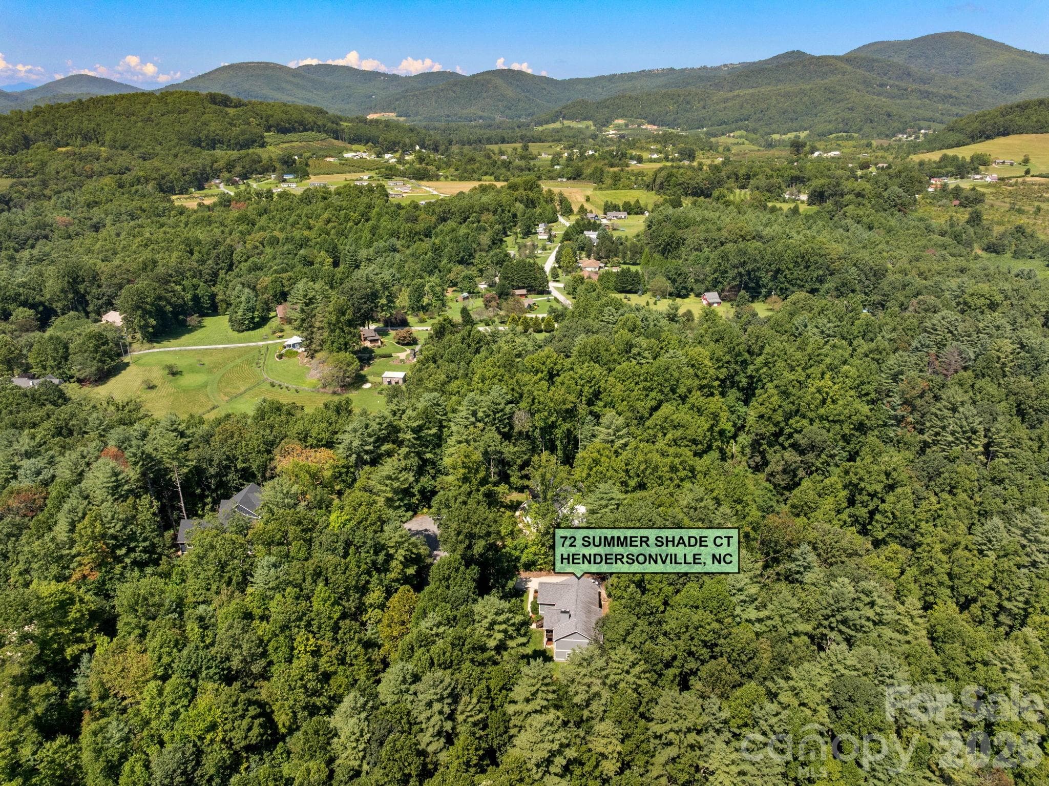 Aerial View with Pinned Loction - 72 Summer Shade Court, Hendersonville