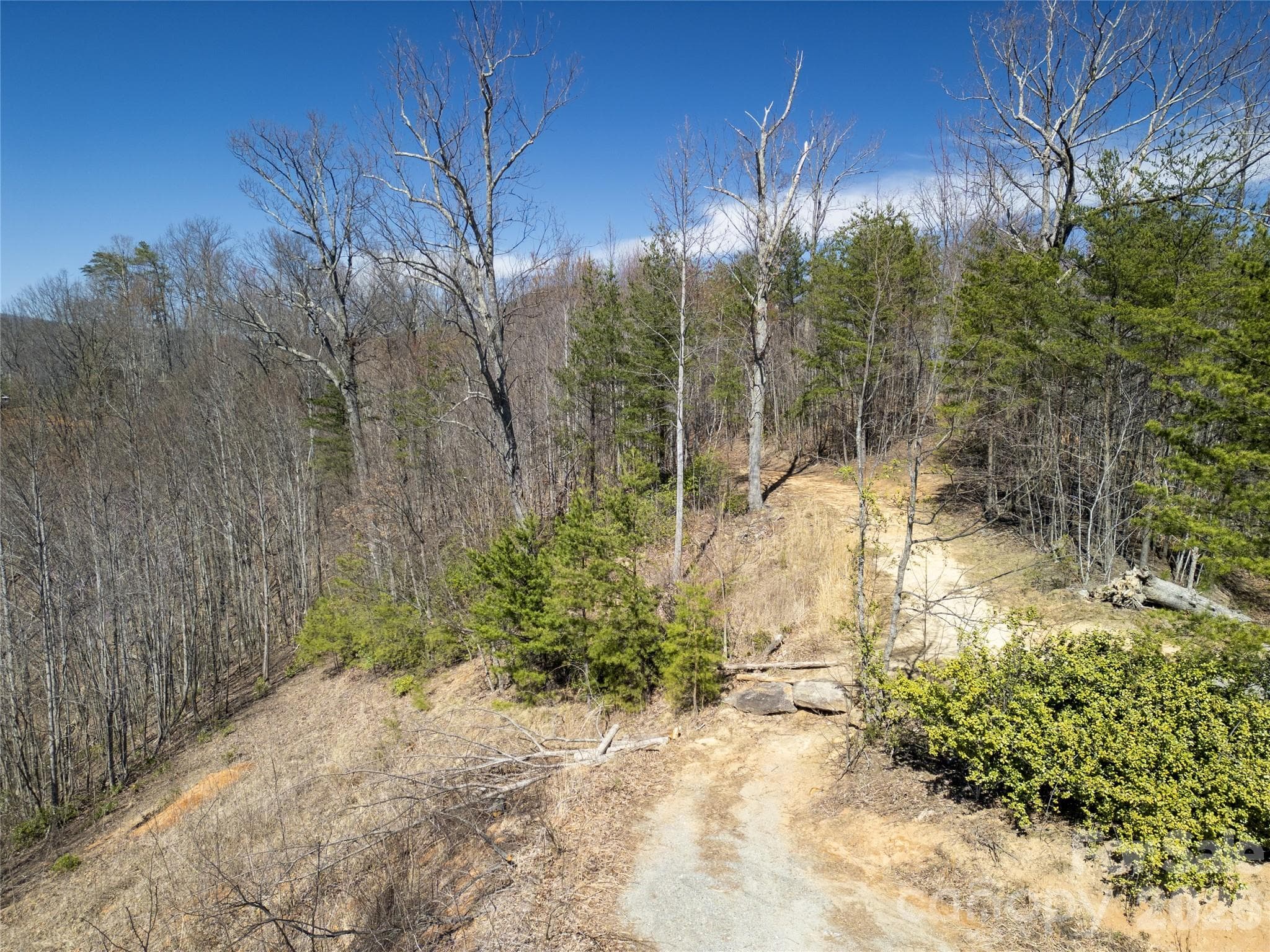 Lot at Lake Lure, photo 4 of 87