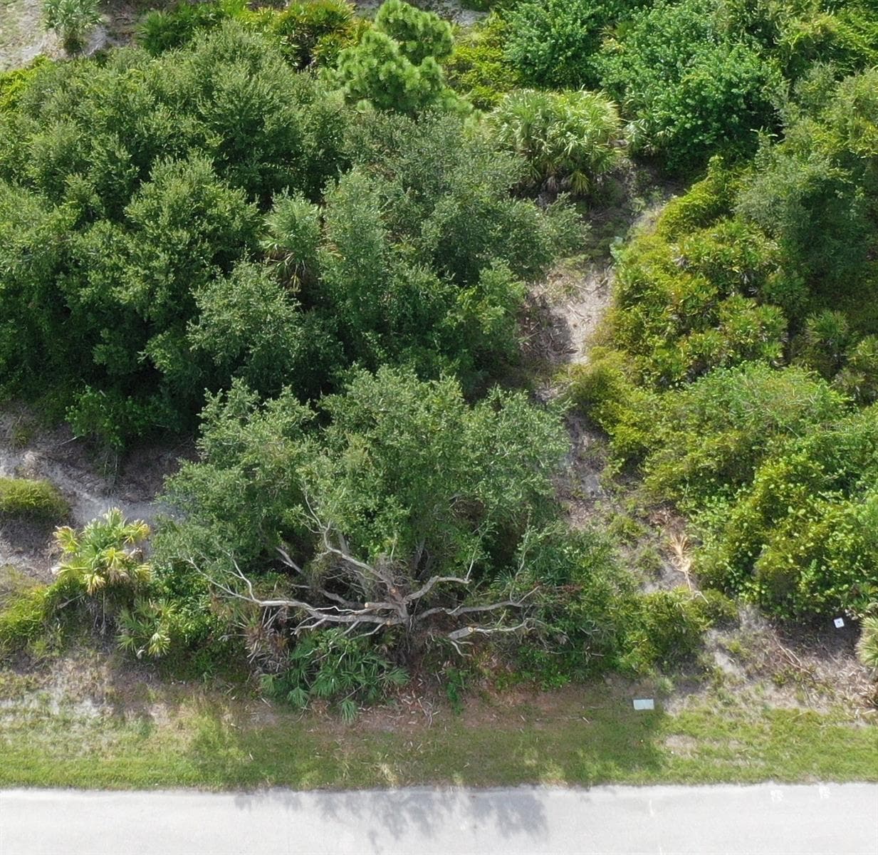 Land at 10097 RYDELL ST, PORT CHARLOTTE, photo 3 of 4
