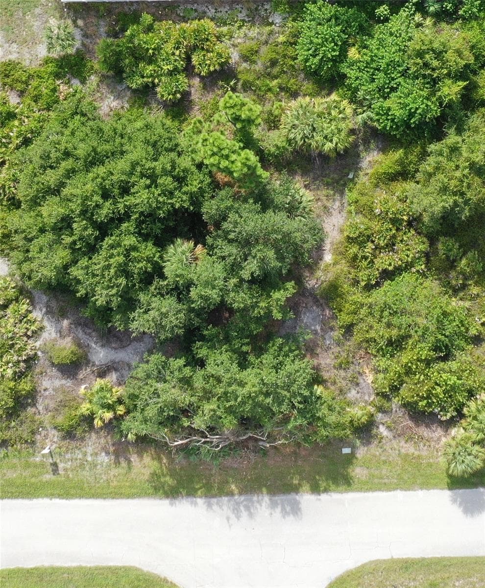 Land at 10097 RYDELL ST, PORT CHARLOTTE, photo 4 of 4