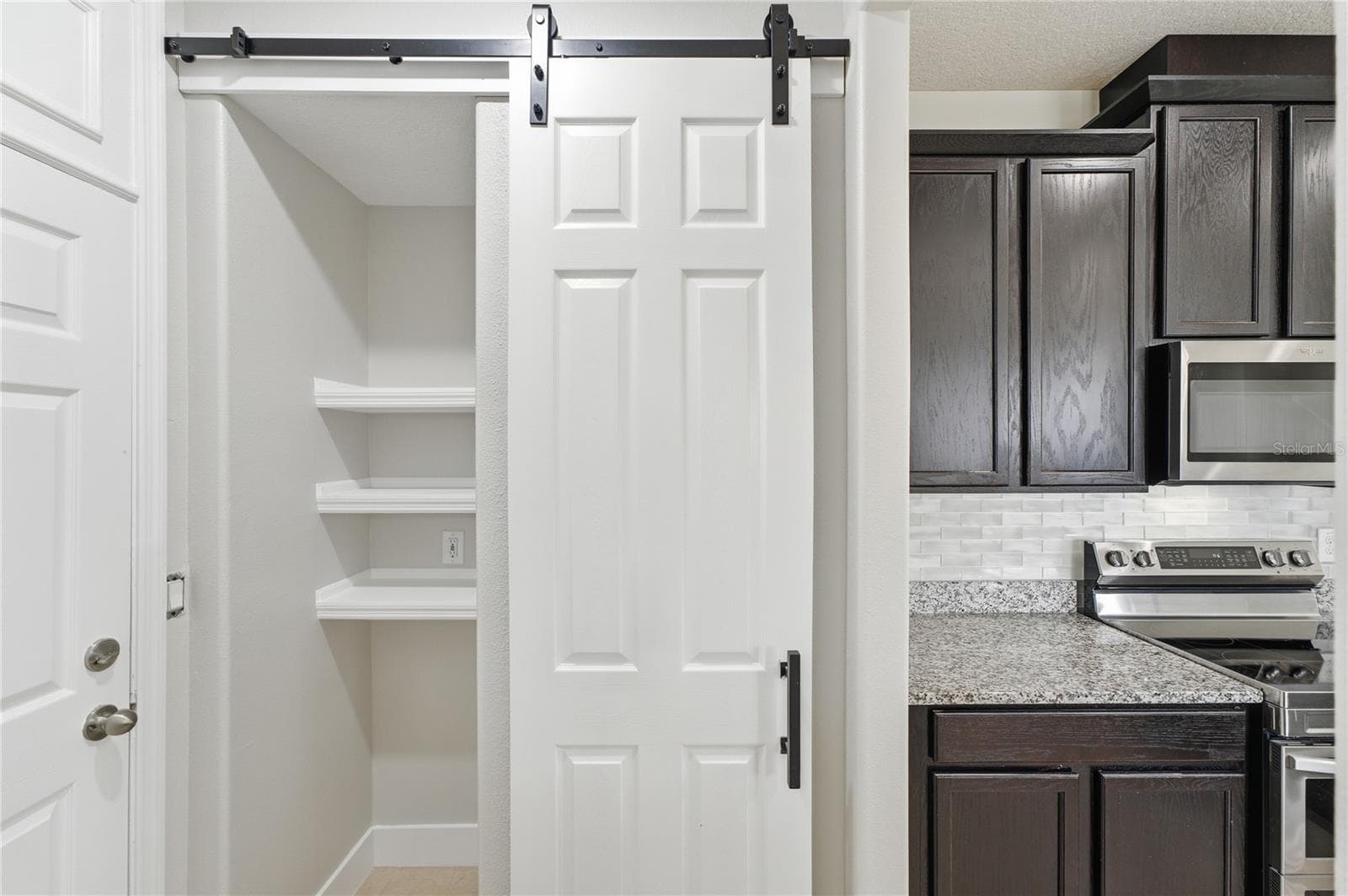 Kitchen pantry with built-in shelving and a space-saving barn door. - 2615 GIARDINO LOOP, KISSIMMEE