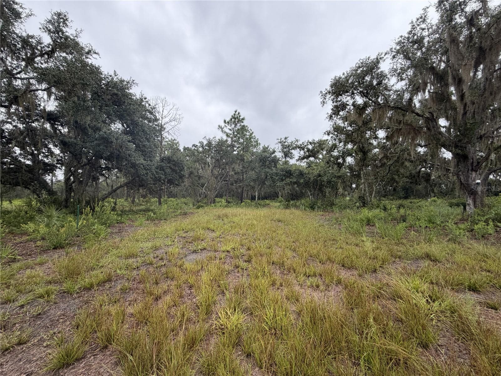 Recently cleared - 14020 CYPRESS LN, WIMAUMA