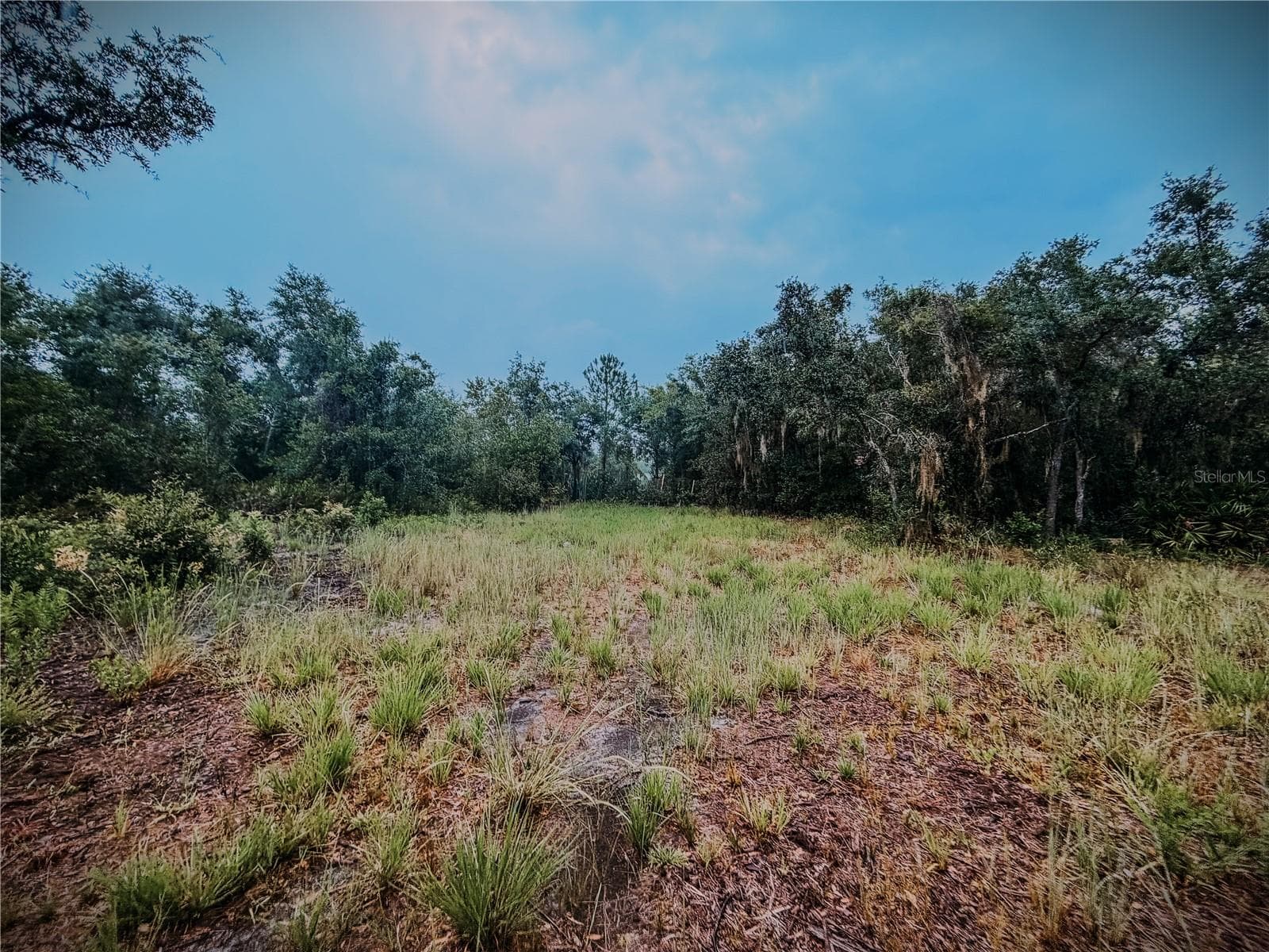 More cleared space - 14020 CYPRESS LN, WIMAUMA
