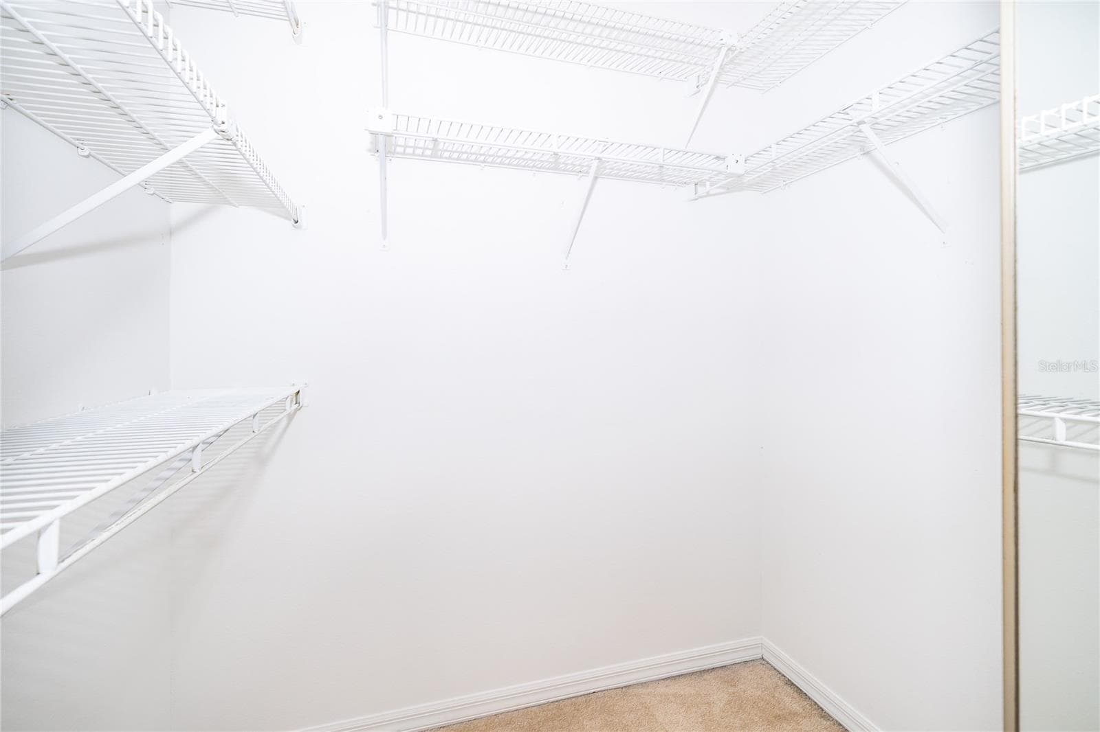 Primary Suite Dual Walk-In-Closets - 696 REMINGTON OAK DR, LAKE MARY