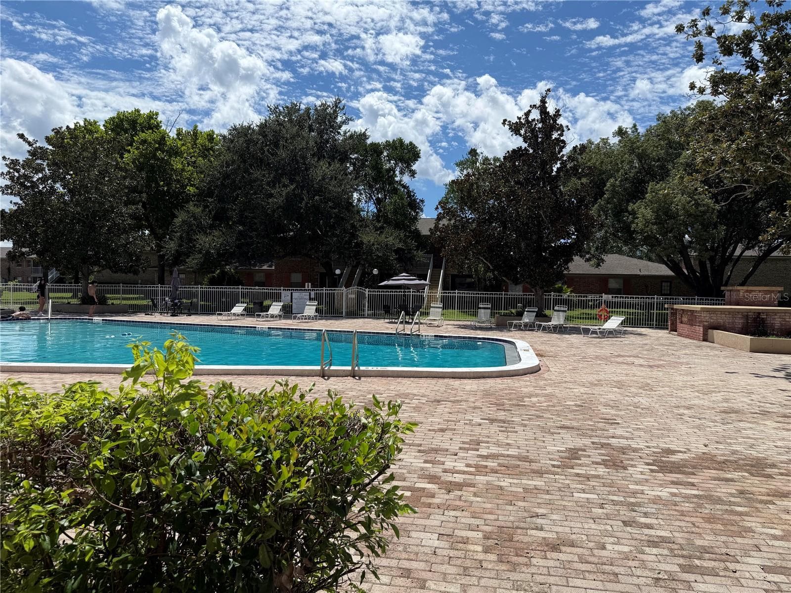 Community Pool - 2308 HAYWOOD CT #100, MAITLAND