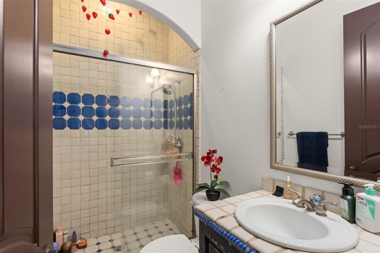 Single Family Residence at 8142 TIBET BUTLER DR, WINDERMERE, photo 59 of 79