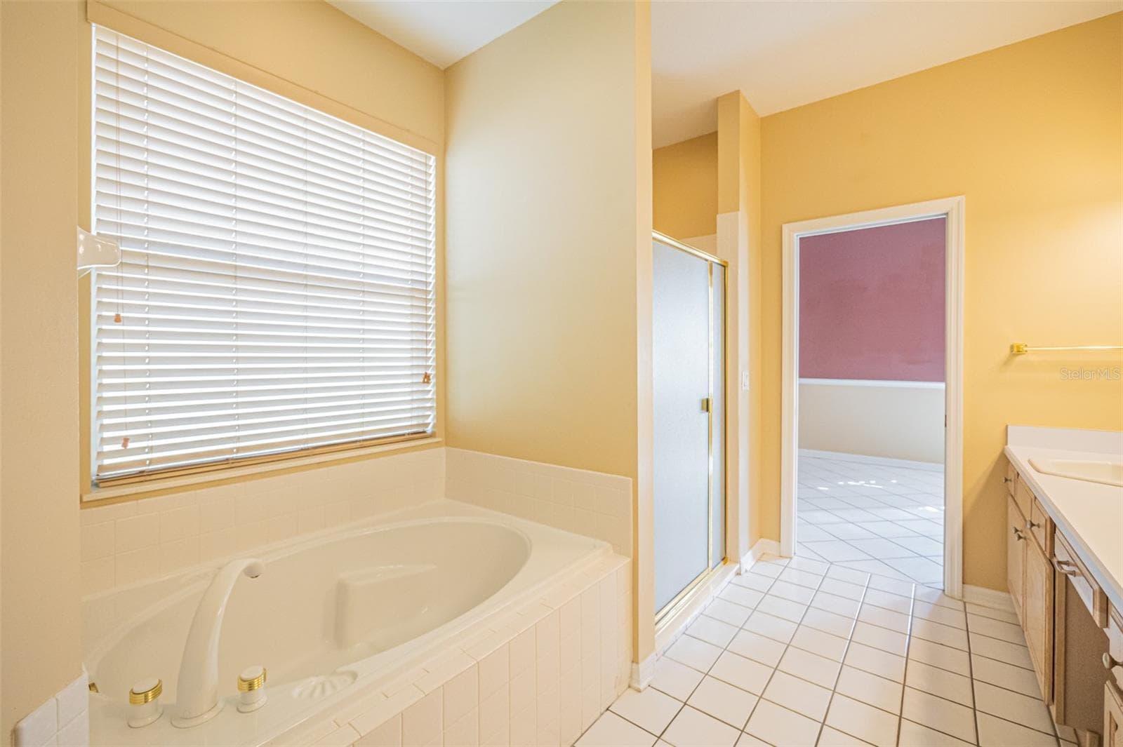 Single Family Residence at 7004 PINE HOLLOW DR, MOUNT DORA, photo 32 of 77
