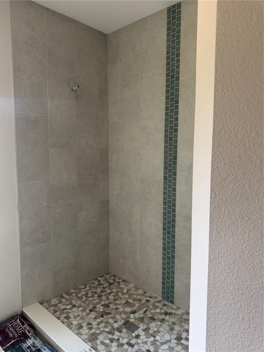 Master shower - 34281 MANUEL ST, WEBSTER