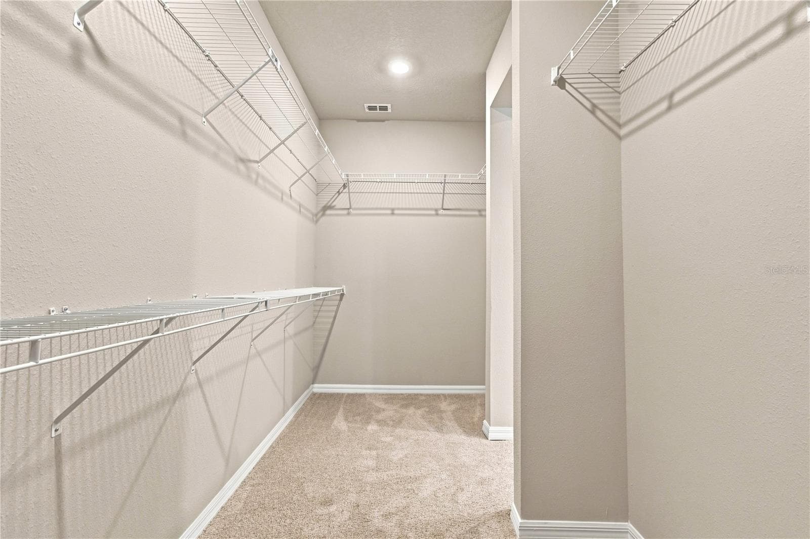 Owner's Closet - 3395 YELLOW CASSIA DR, WESLEY CHAPEL
