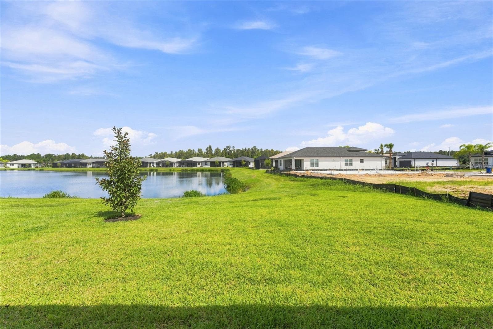 Enjoy Serene Water Views From Your Backyard - 3427 MALTA AVE, WESLEY CHAPEL