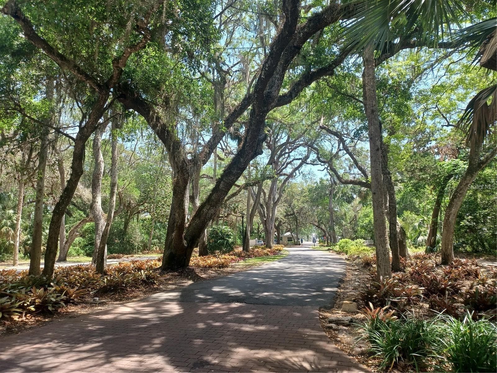 Single Family Residence at 53 SEA VISTA DR, PALM COAST, photo 10 of 49