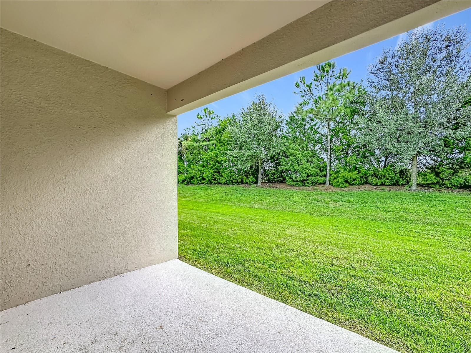 Serene, peaceful backyard - 5517 COACHWOOD CV, BRADENTON