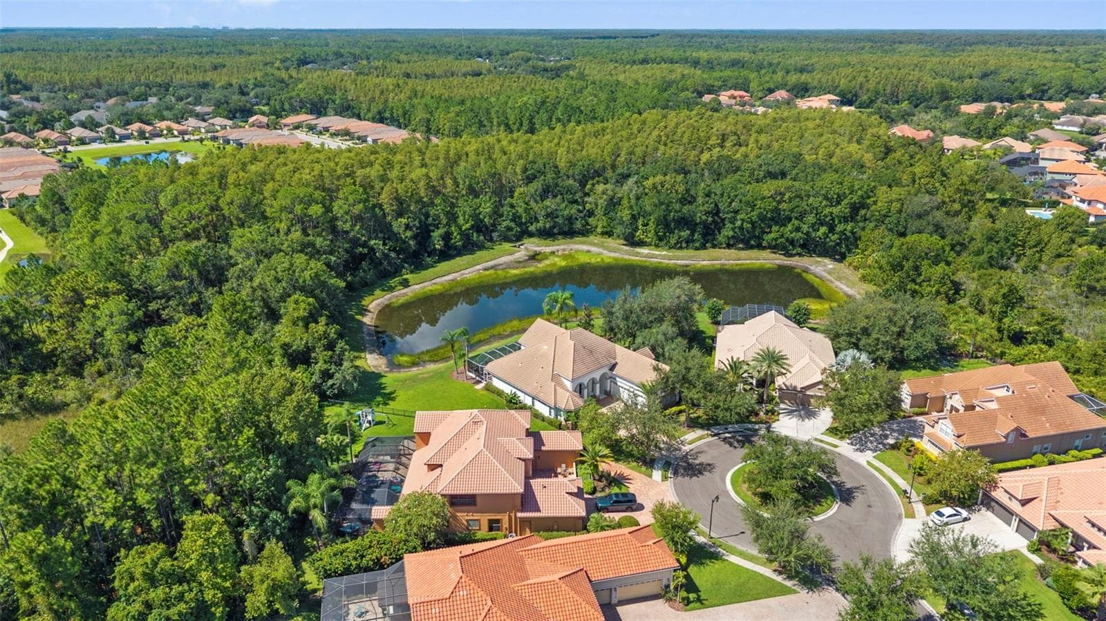 Aerial - 20101 FAIR HILL WAY, TAMPA