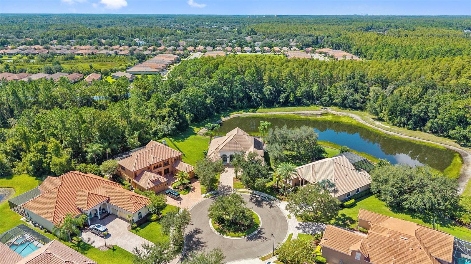 Aerial - 20101 FAIR HILL WAY, TAMPA