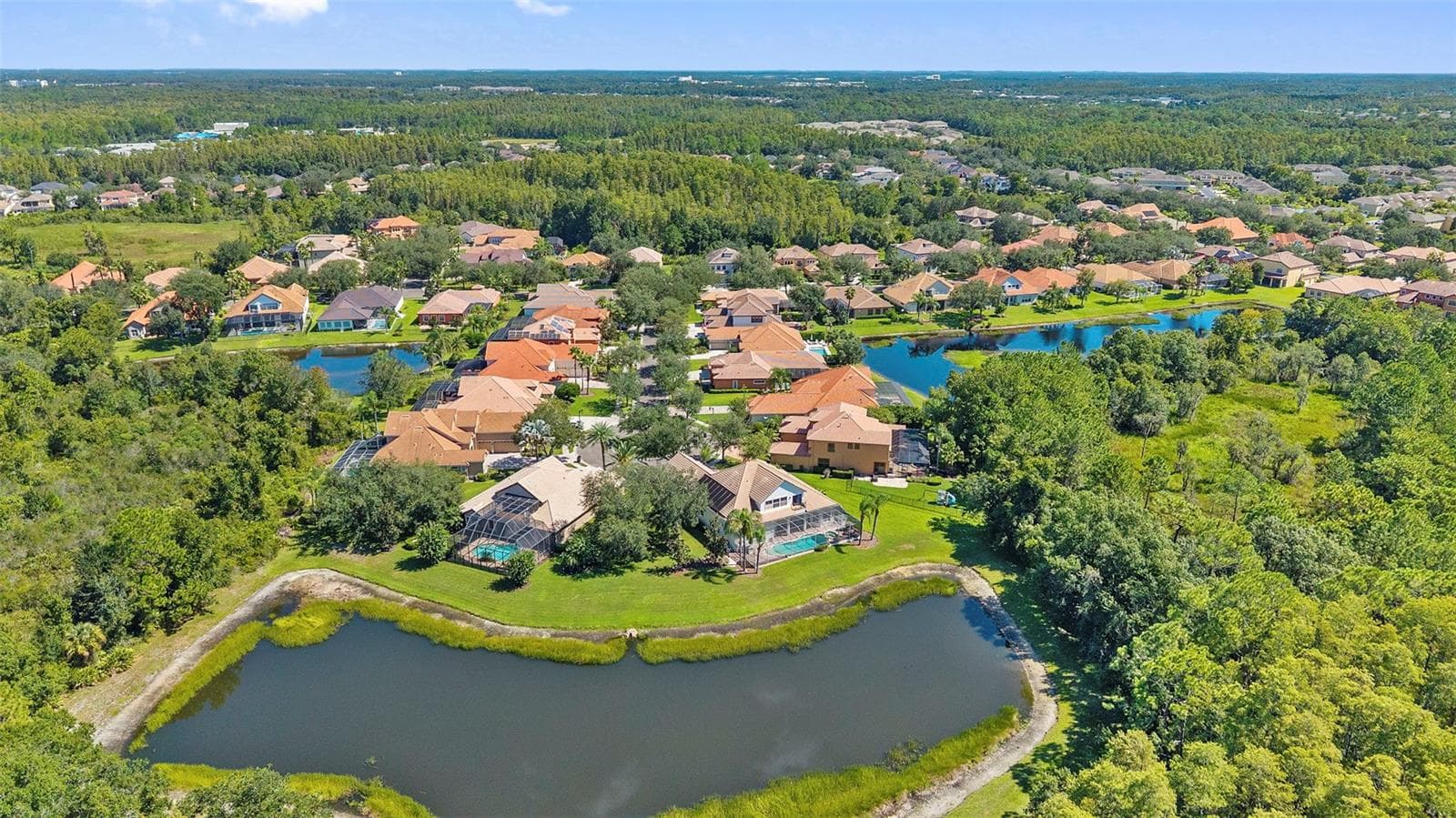 Aerial - 20101 FAIR HILL WAY, TAMPA