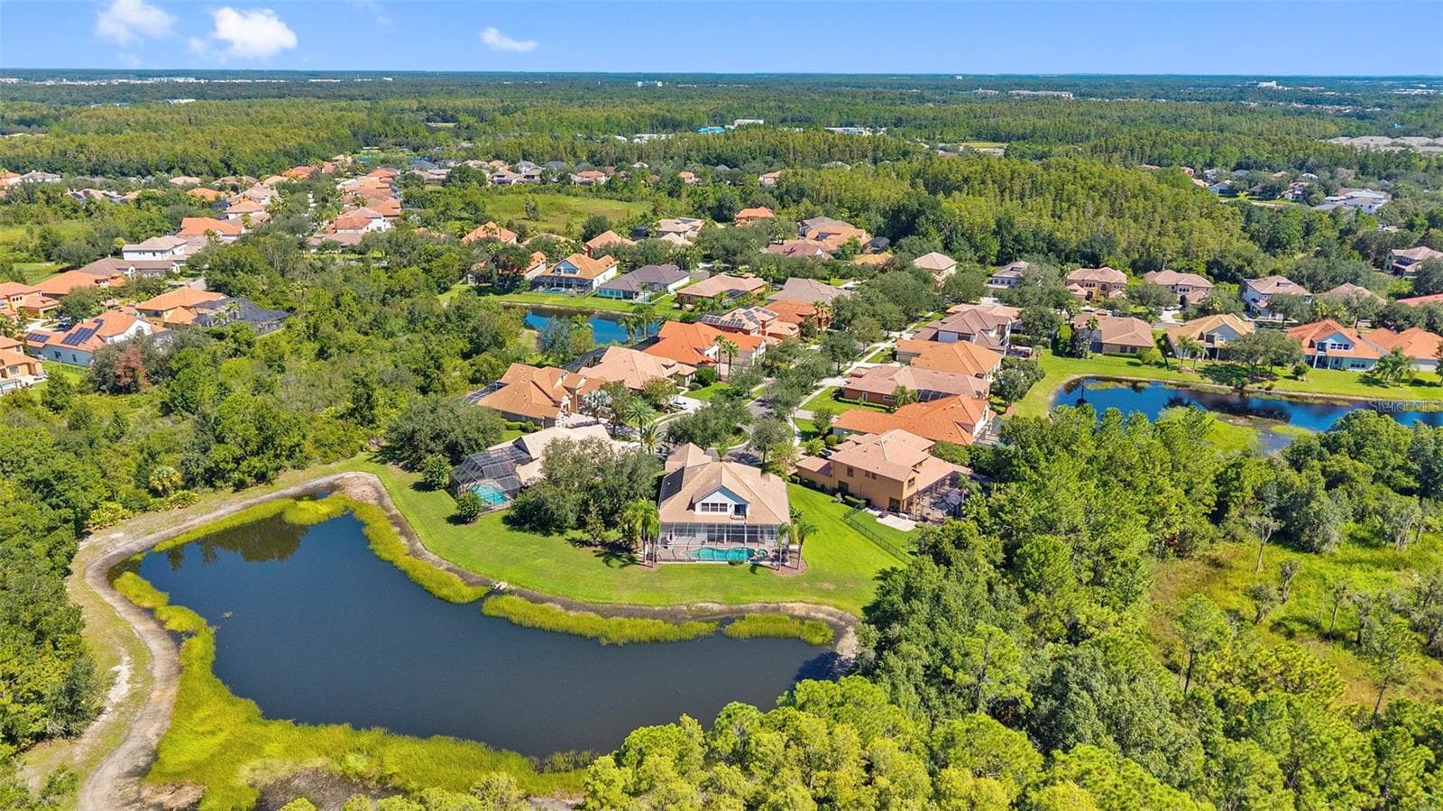 Aerial - 20101 FAIR HILL WAY, TAMPA