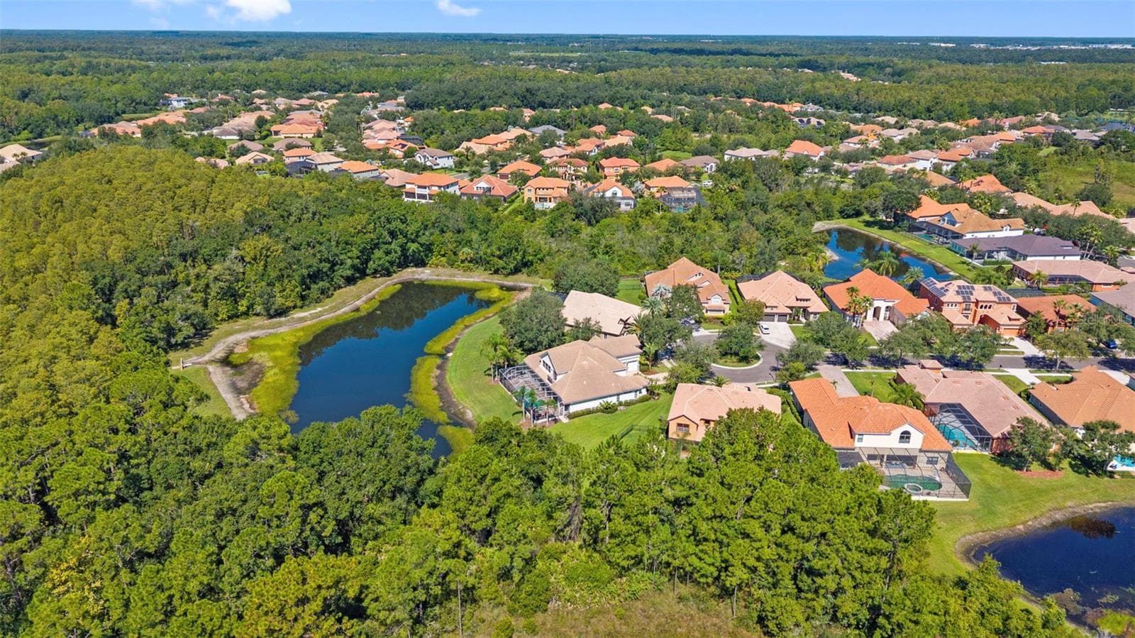 Aerial - 20101 FAIR HILL WAY, TAMPA