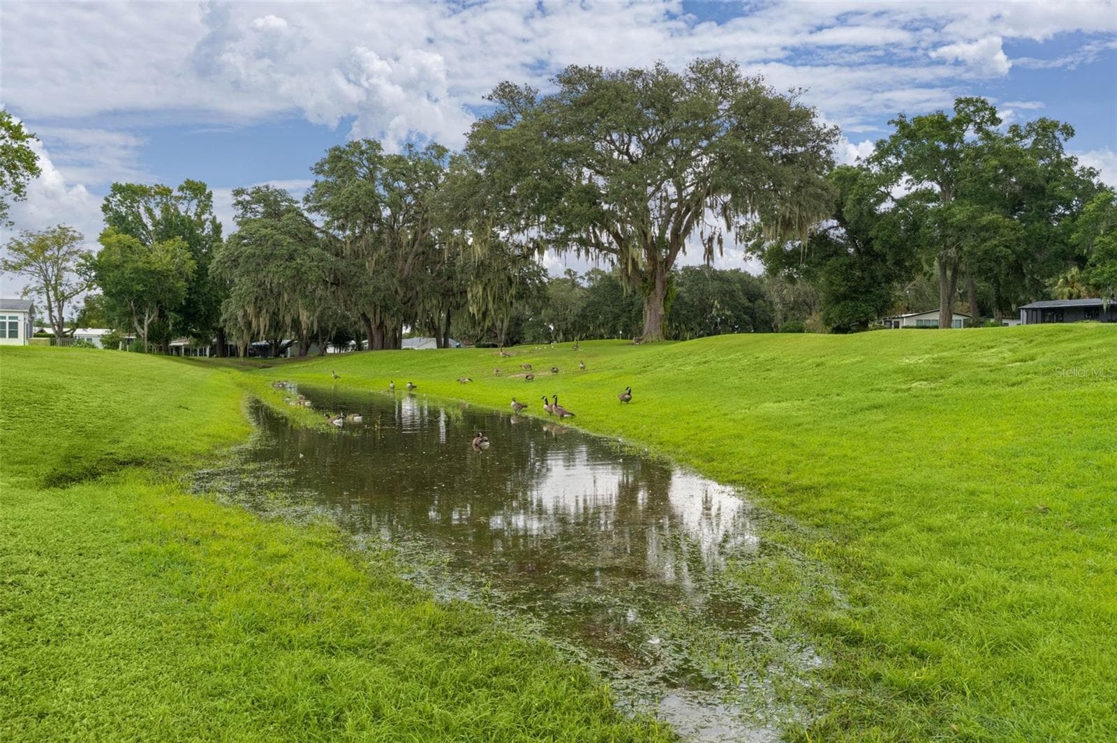 Single Family Residence at 934 ORCHID ST, THE VILLAGES, photo 43 of 58