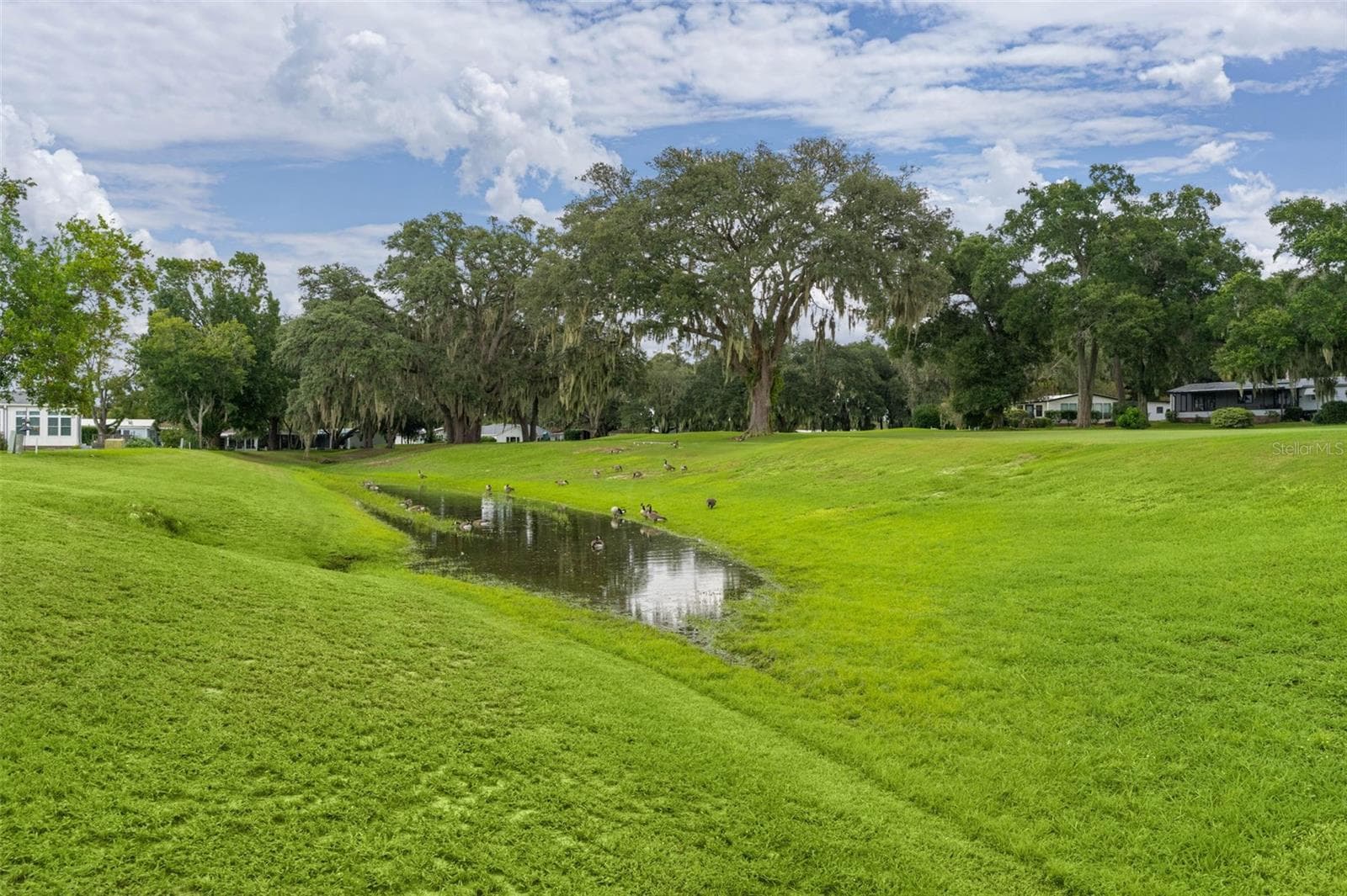 Single Family Residence at 934 ORCHID ST, THE VILLAGES, photo 44 of 58