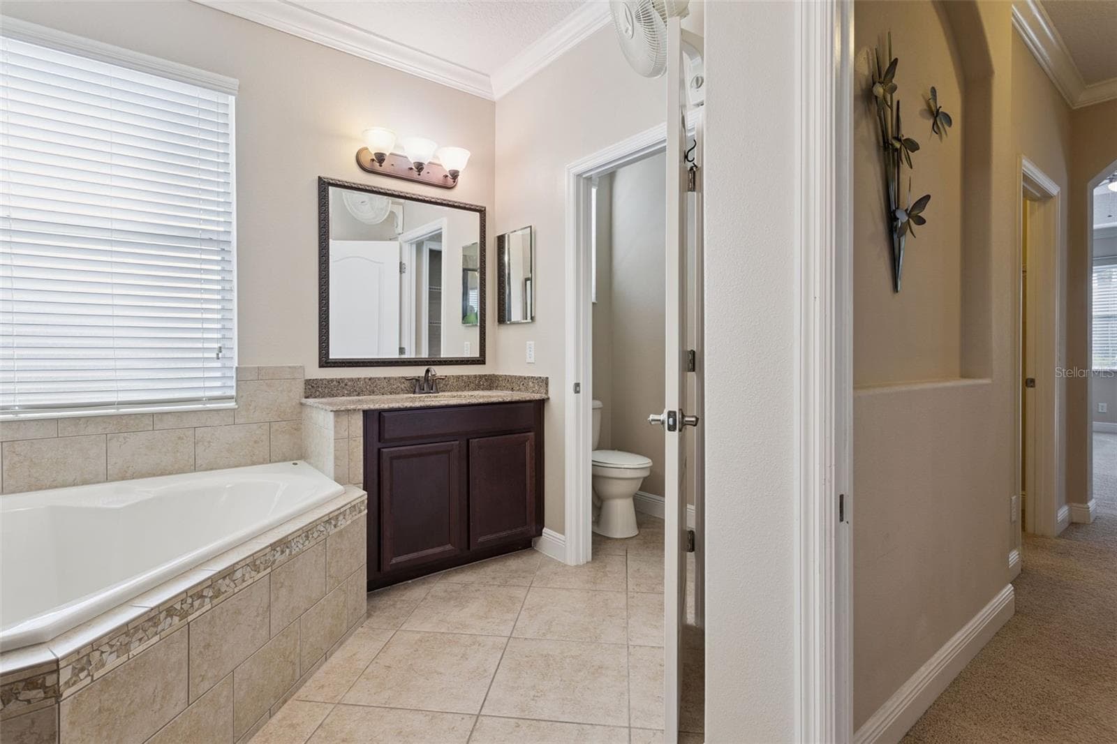 Single Family Residence at 3065 MURANO CT, MOUNT DORA, photo 26 of 47