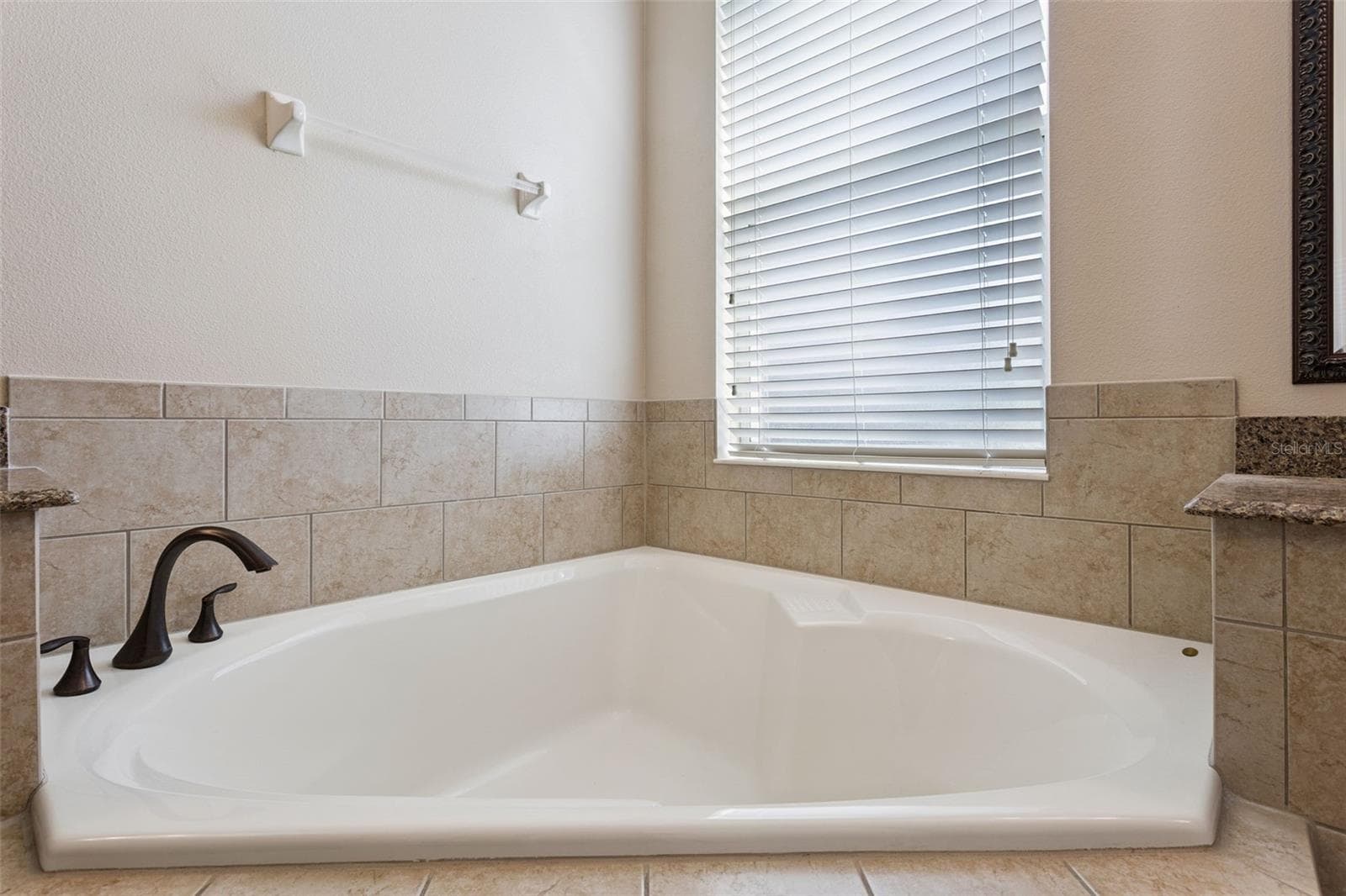 Single Family Residence at 3065 MURANO CT, MOUNT DORA, photo 29 of 47