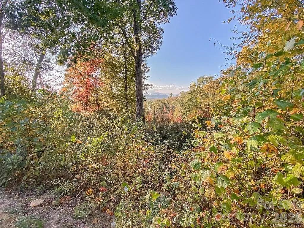 215 Crossvine Trail