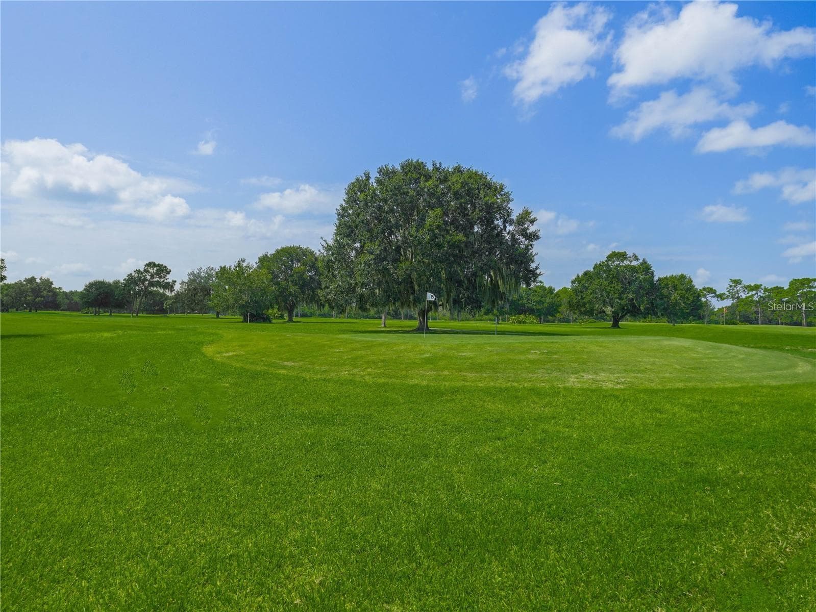 Single Family Residence at 2501 PLUMOSA DR, LAKE WALES, photo 72 of 88