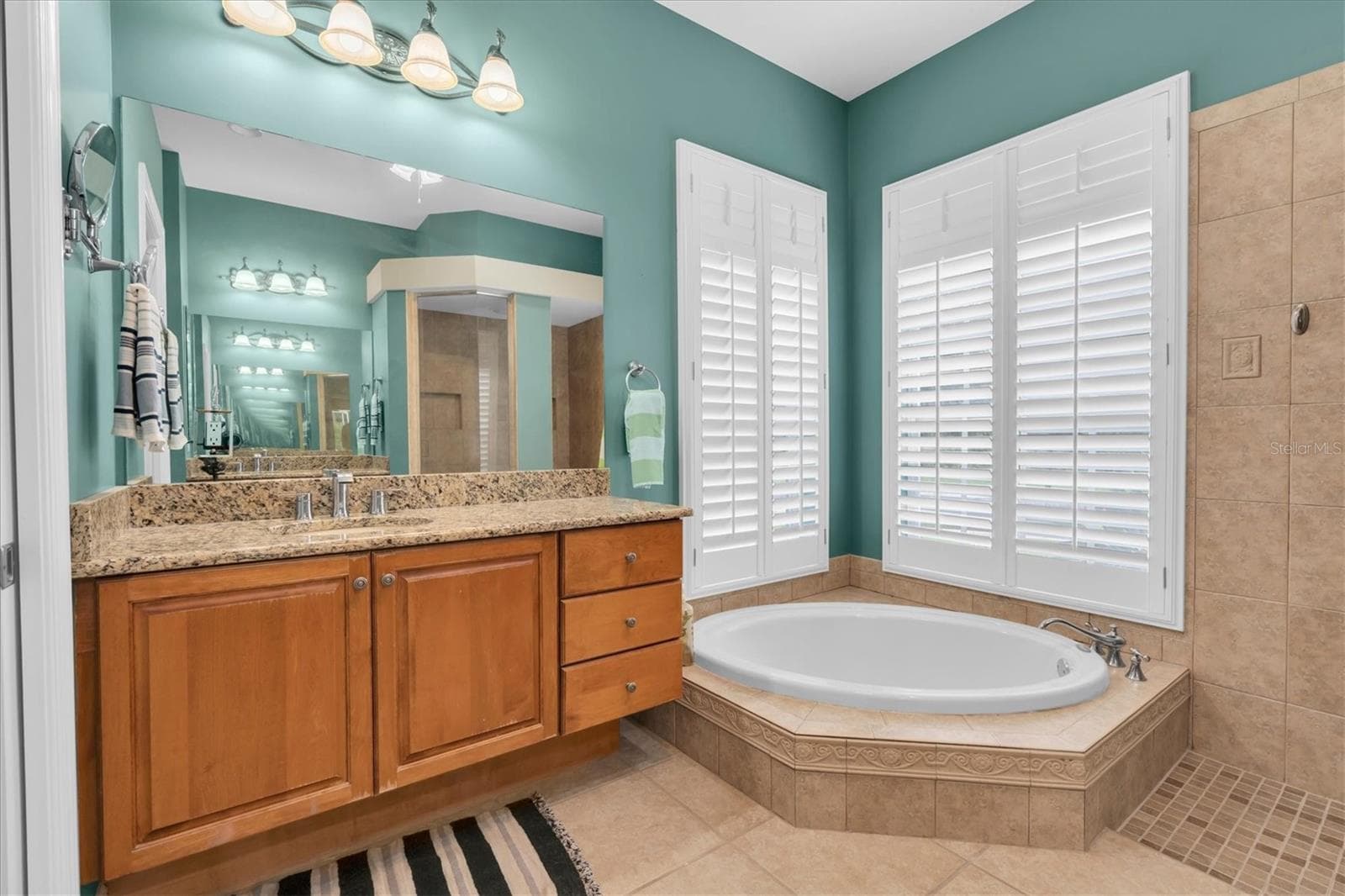 Single Family Residence at 27027 BRUSH CREEK WAY, WESLEY CHAPEL, photo 33 of 74